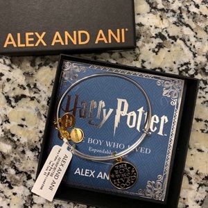Limited Edition Harry Potter Alex and Ani